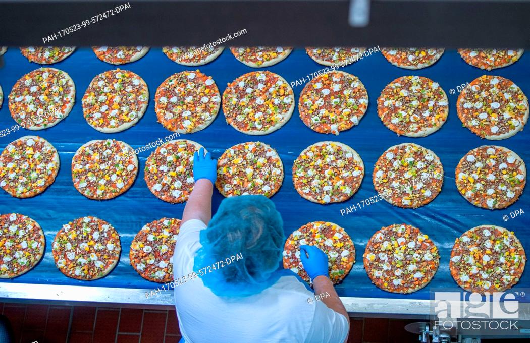 Stock Photo: Employees cover pizza crusts with vegetable pieces in the pizza factory of the Dr. Oetker company in Wittenburg, Germany, 23 May 2017.