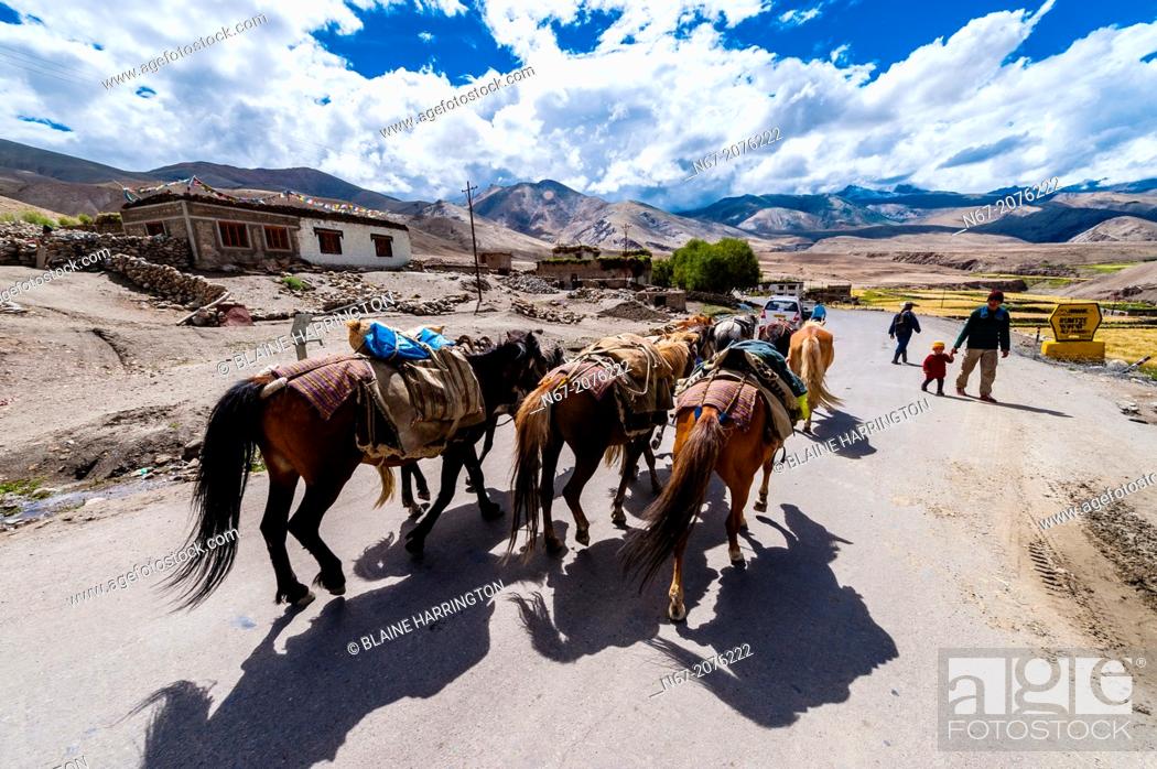 Stock Photo: Rumtse, Leh-Manali Highway, Ladakh, Jammu and Kashmir State, India.