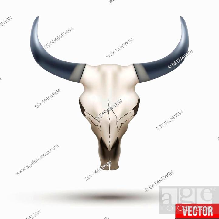 Animal skull with horns. Vector Illustration Isolated on white background,  Stock Vector, Vector And Low Budget Royalty Free Image. Pic. ESY-046689994  | agefotostock