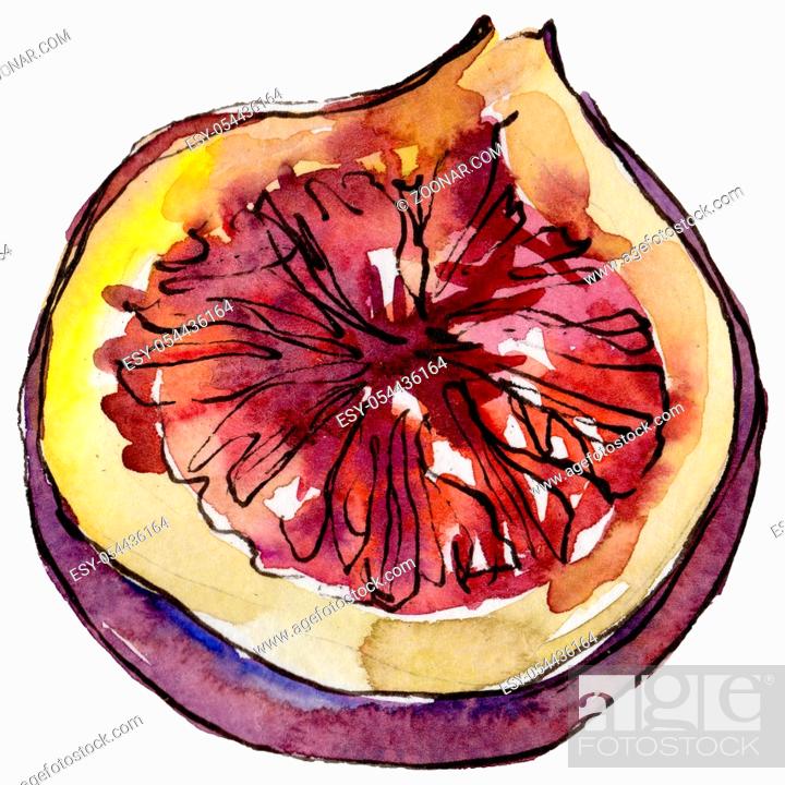 Stock Photo: Exotic violet figs healthy food in a watercolor style isolated. Full name of the fruit: figs . Aquarelle wild fruit for background, texture.