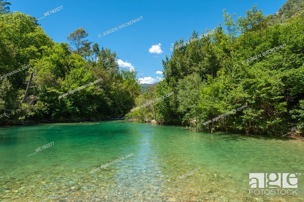 Stock Photo: Scenery at the river Siagne, Saint-Cezaire-sur-Siagne, Alpes-Maritim, Provence-Alpes-Cote d`Azur, France, Europe.