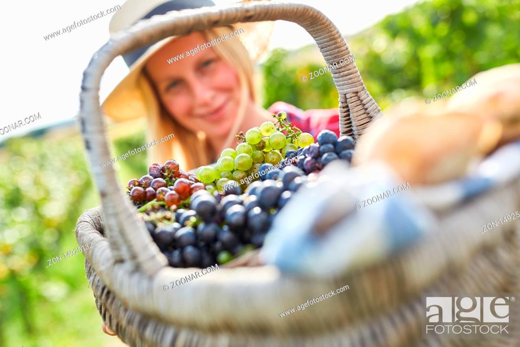Stock Photo: Picknick Korb voll mit weißen und roten Weintrauben bei der Traubenlese.