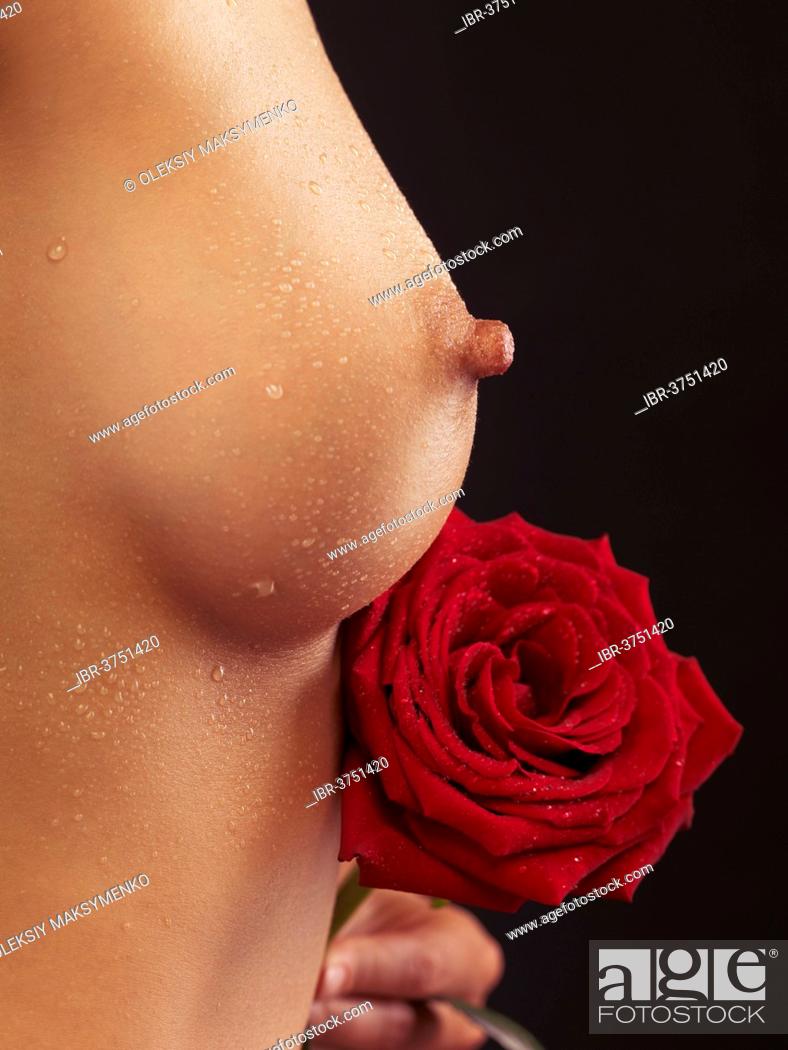 Nudes red rose Red Rock