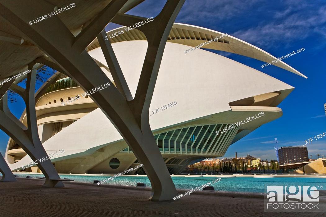 Imagen: Palacio de las Artes Reina Sofía, City of Arts and Sciences by S  Calatrava  Valencia  Spain.