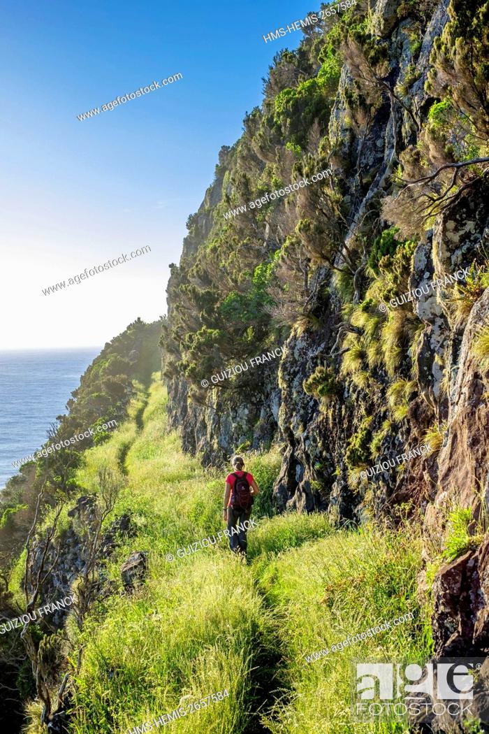 Celebridad Café En respuesta a la Portugal, Azores archipelago, Flores island, coastal hiking trail from Faja  Grande to Ponta Delgada, Foto de Stock, Imagen Derechos Protegidos Pic.  HMS-HEMIS-2657584 | agefotostock