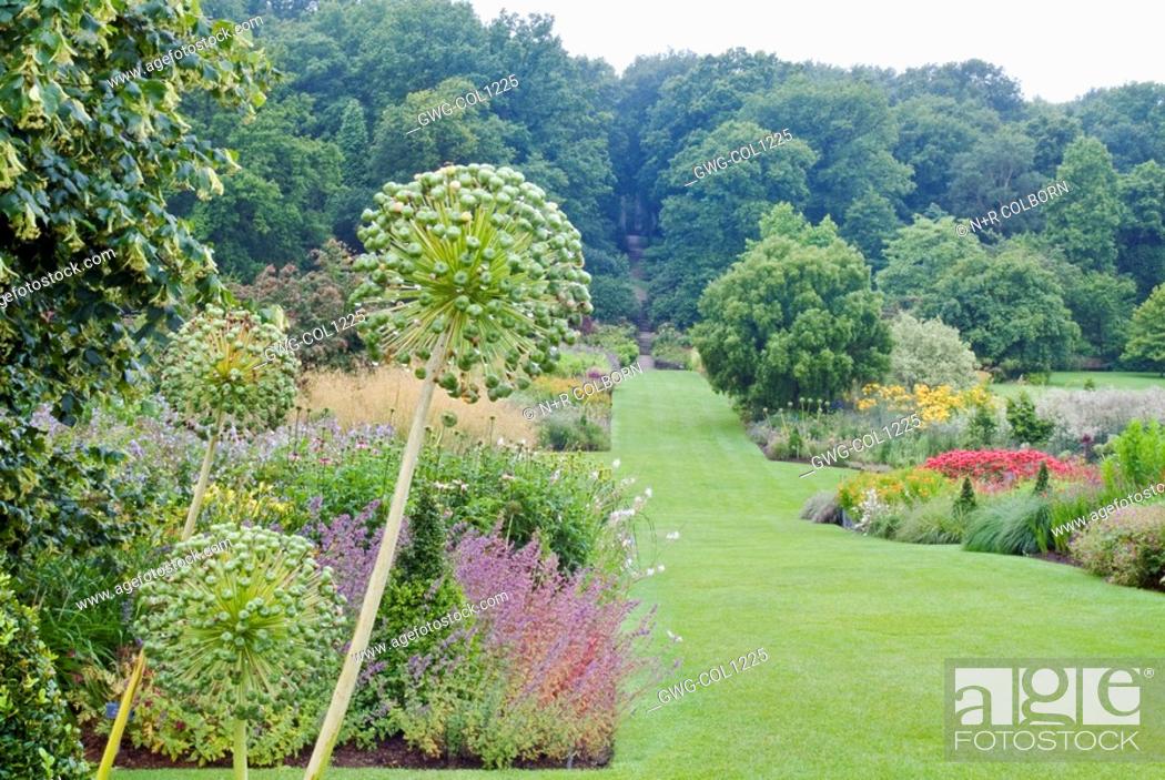 Stock Photo: THE LONG BORDERS AT HARLOW CARR GARDEN HARROGATE IN JULY.