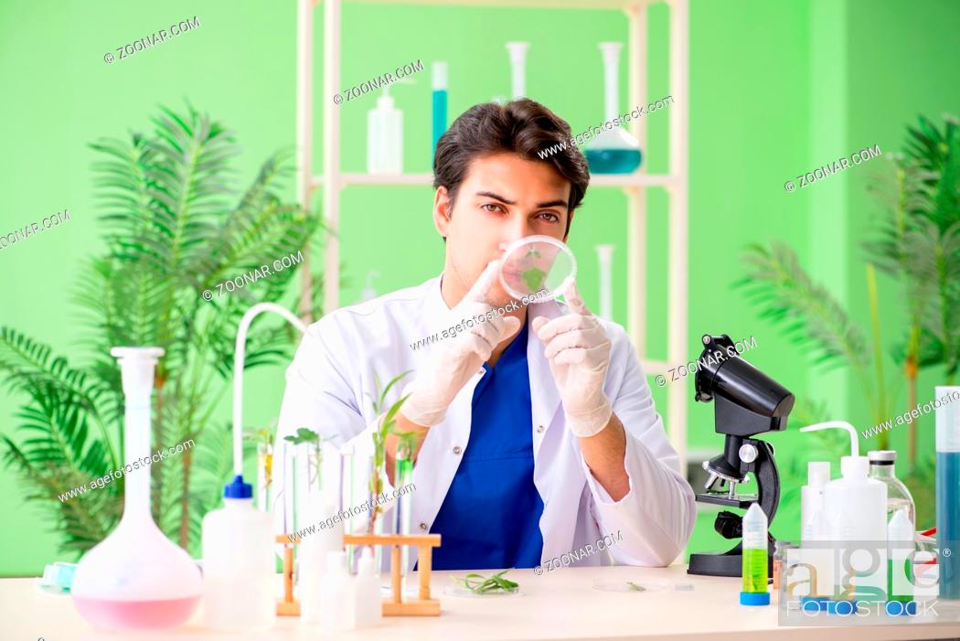Stock Photo: Young biotechnology scientist chemist working in lab.