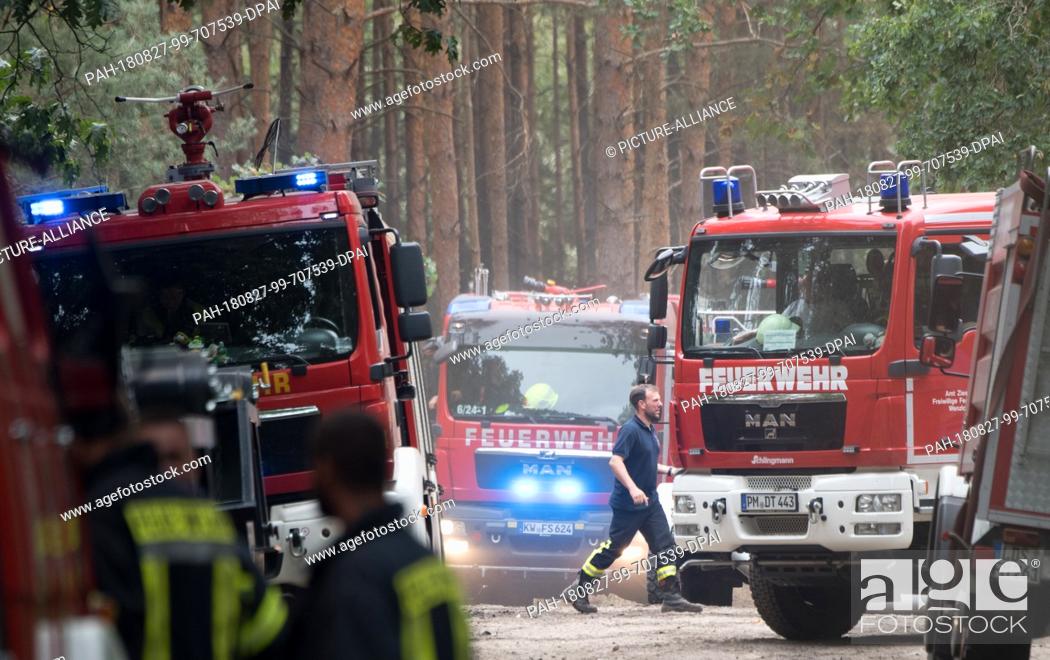 Stock Photo: 27 August 2018, Treuenbrietzen, Germany: Fire engines of the fire brigade stand in a forest near Treuenbrietzen. About 350 firefighters are still on duty to.