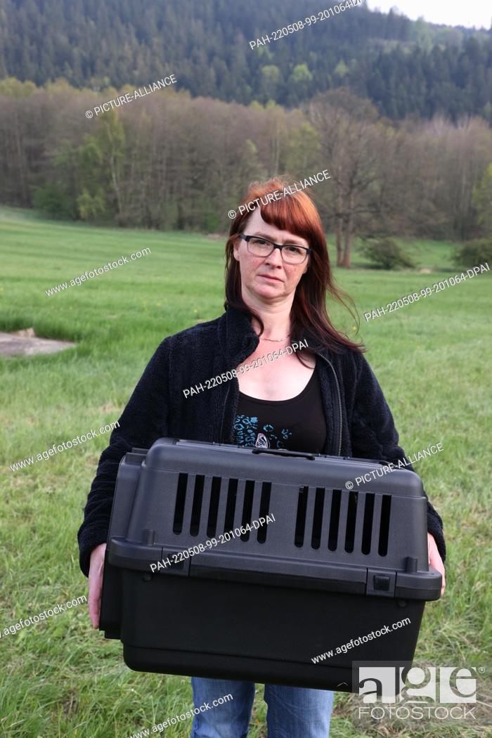 Stock Photo: 05 May 2022, Saxony, Schöneck: Corinna Heinrich stands in a meadow with a fawn transport box. Young deer are in mortal danger during the first mowing.