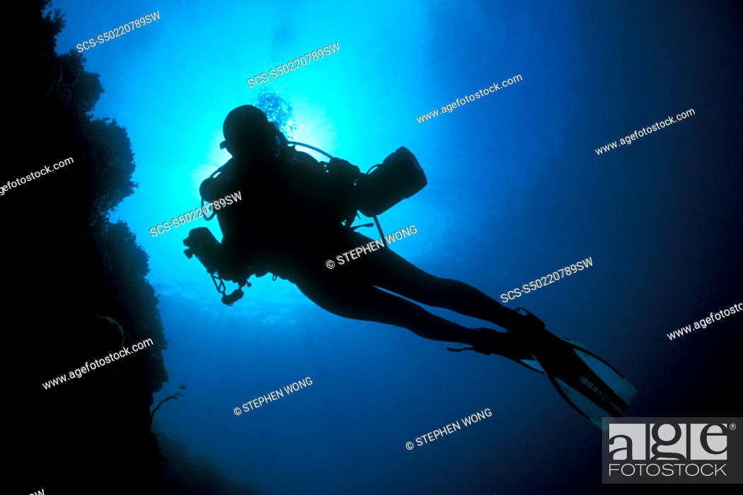 Stock Photo: Underwater photographer, diver, silhouetting under sun Gorontalo, Sulaweis, Indonesia rr.