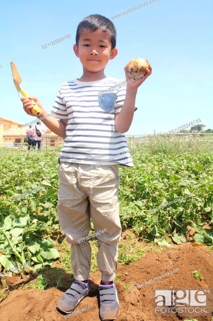 Stock Photo: Japanese boy digging potato (first grade at elementary school).