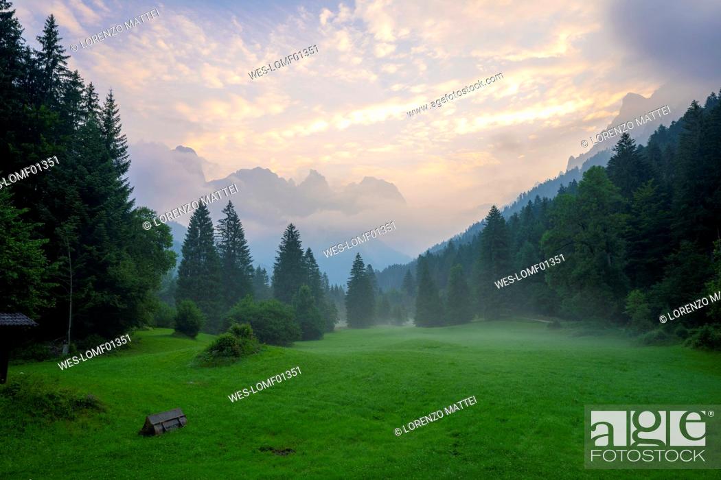 Stock Photo: Italy, Trentino-Alto Adige, Val Canali at foggy morning.