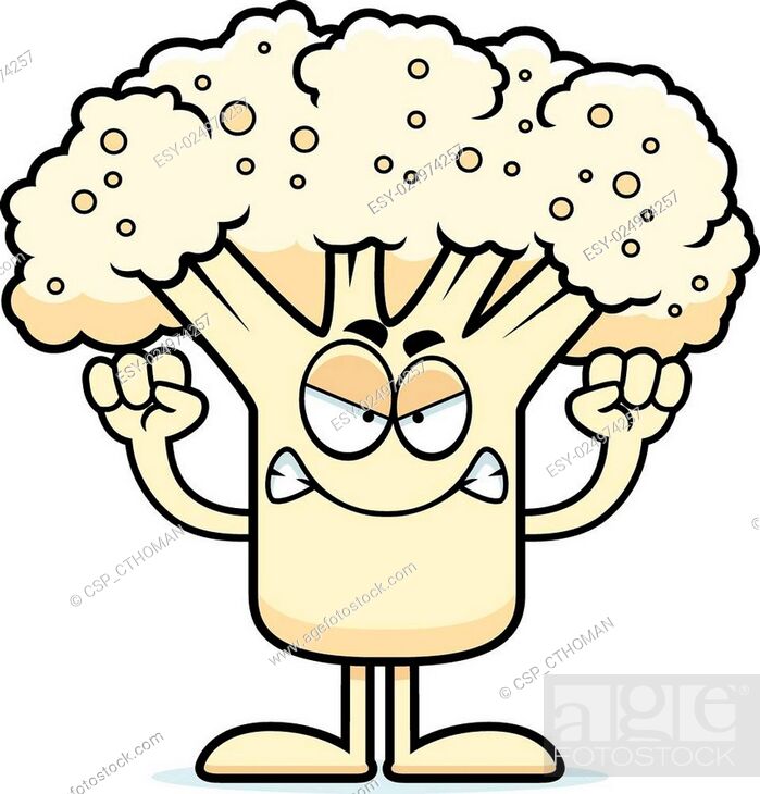 Angry Cartoon Cauliflower, Stock Vector, Vector And Low Budget Royalty Free  Image. Pic. ESY-024974257 | agefotostock