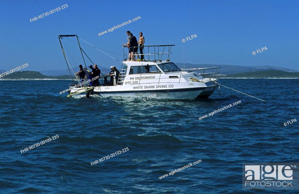 Stock Photo: Diving - Boat with Great White Shark Divers - South Africa.