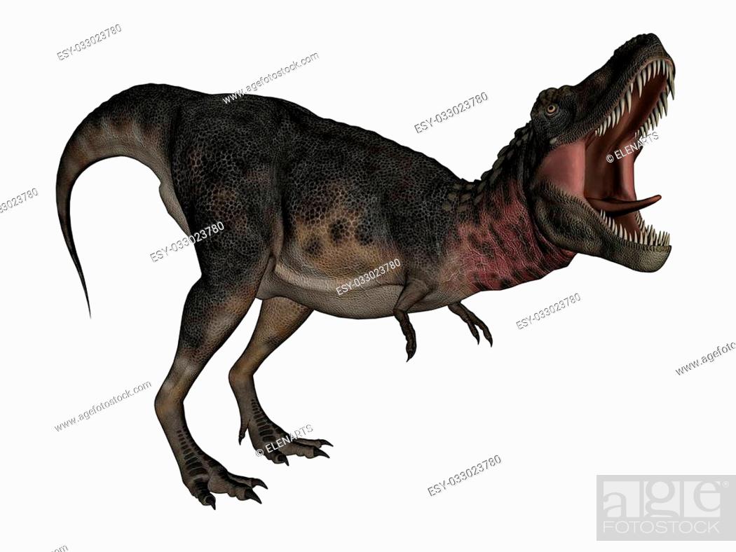 Stock Photo: Tarbosaurus dinosaur roaring isolated in white background - 3D render.