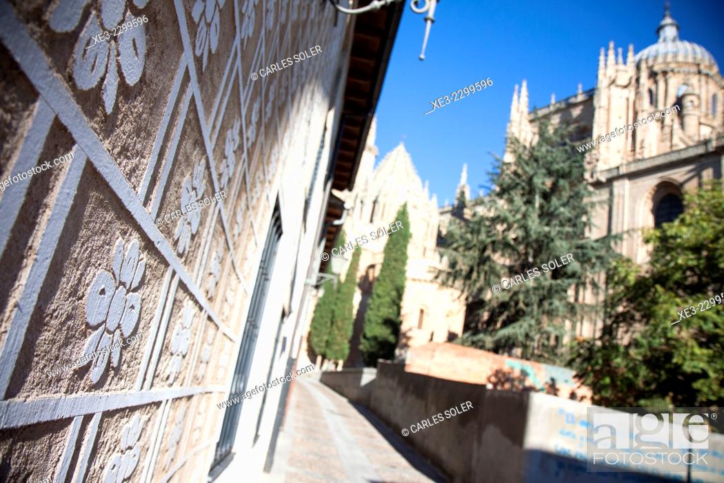 Stock Photo: Calles de Salamanca.