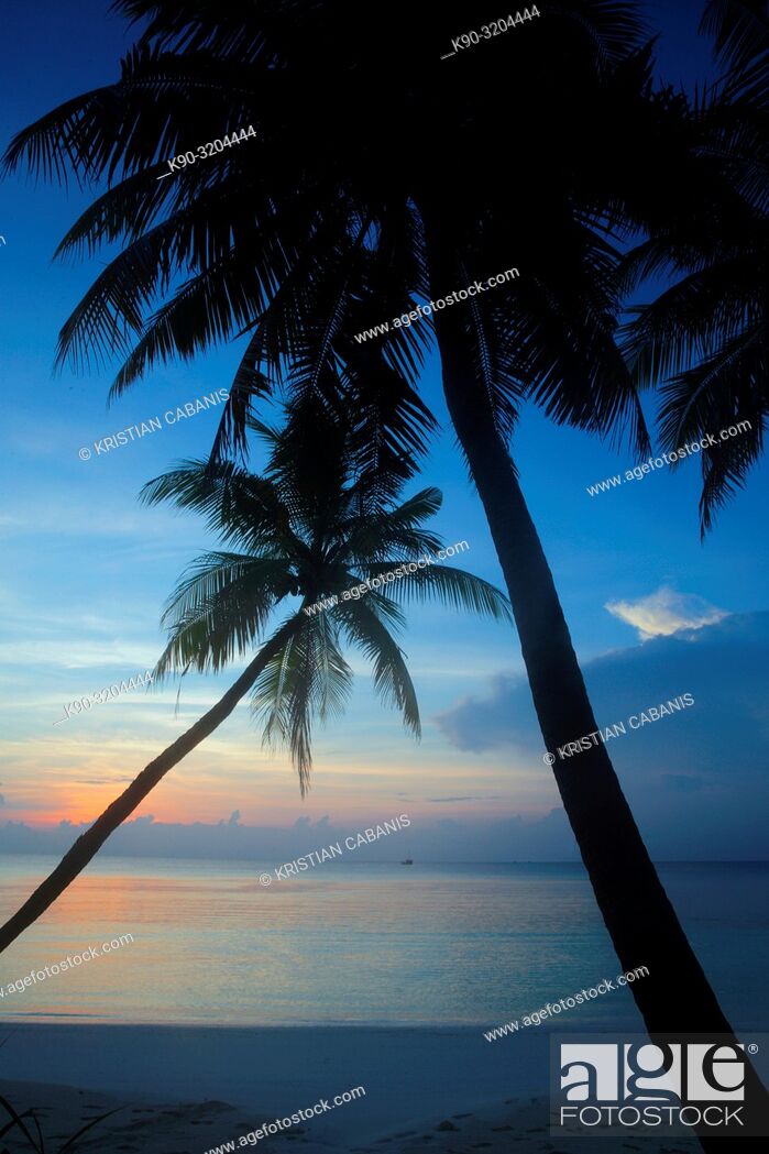 Stock Photo: Sunset over the palm trees of a small island within Meemu Atoll, Maldives, Indian Ocean, South Asia.