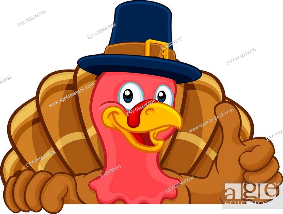 Pilgrim Turkey Thanksgiving bird animal cartoon character wearing a  pilgrims hat, Stock Vector, Vector And Low Budget Royalty Free Image. Pic.  ESY-055640996 | agefotostock