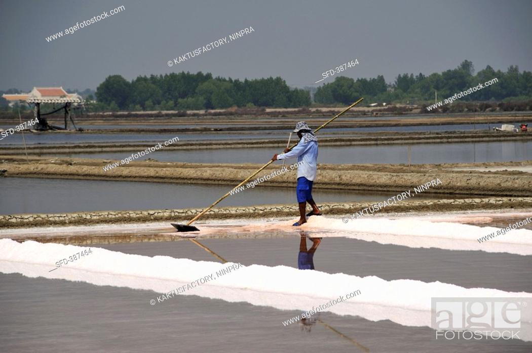 Stock Photo: Sea salt extraction in Thailand.
