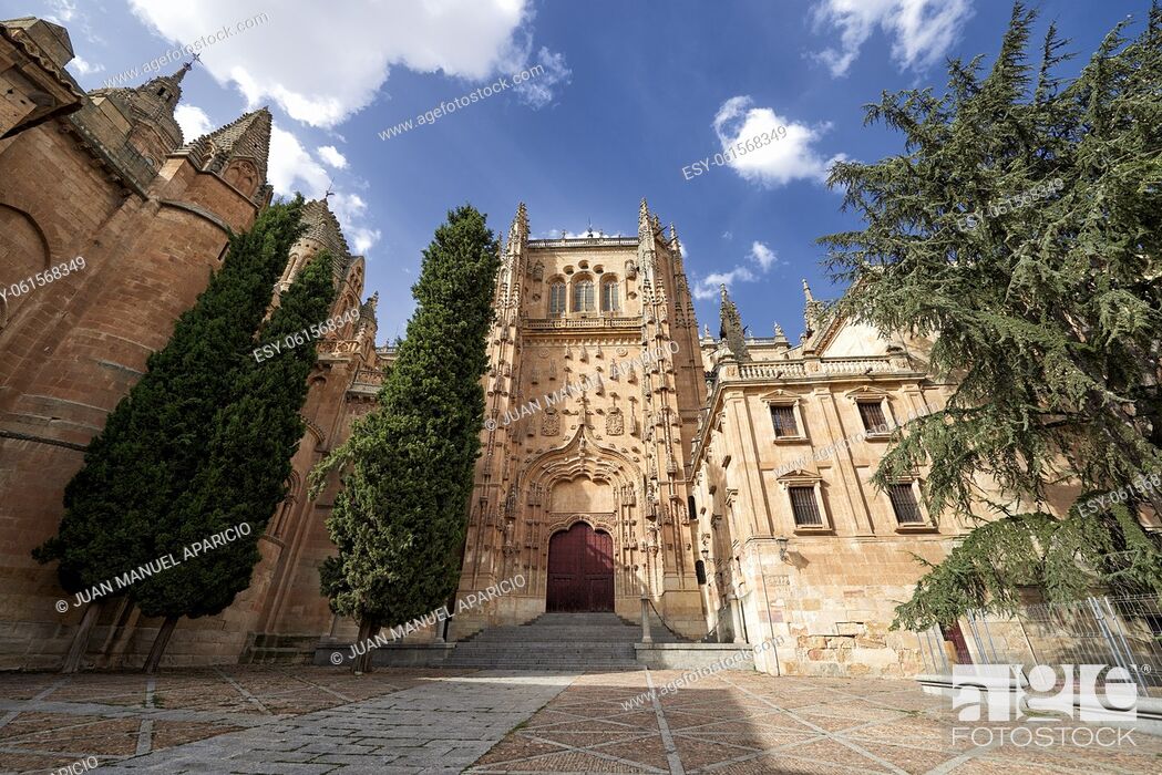 Stock Photo: Cathedral of Salamanca, Salamanca City, Spain, Europe.