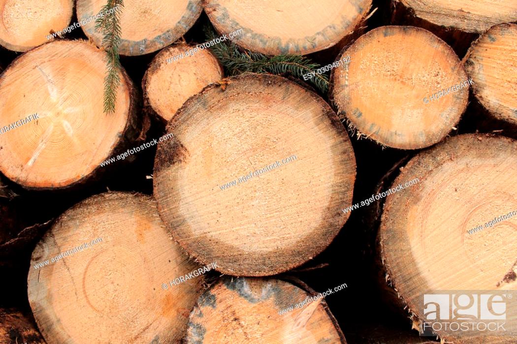 Stock Photo: Stacks of spruce logs harvested.