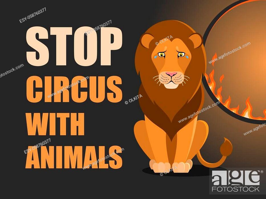 Stop circus with animals. Poster against abuse animals in circuses, Stock  Vector, Vector And Low Budget Royalty Free Image. Pic. ESY-058760377 |  agefotostock
