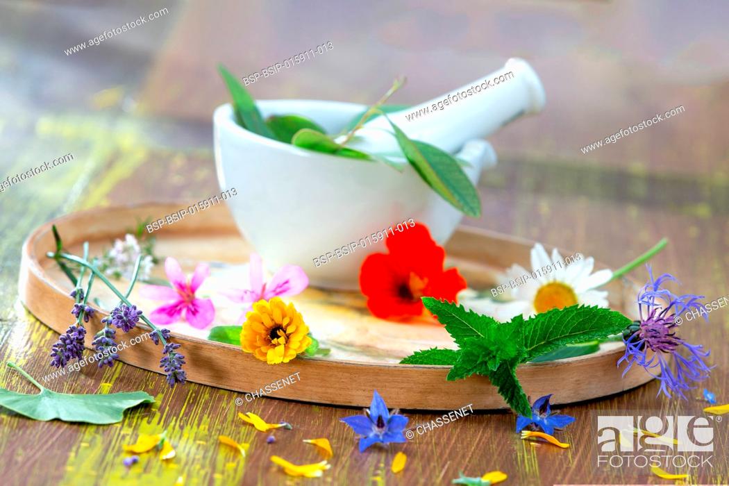 Stock Photo: Essential oils for aromatherapy treatment with fresh herbs in mortar.