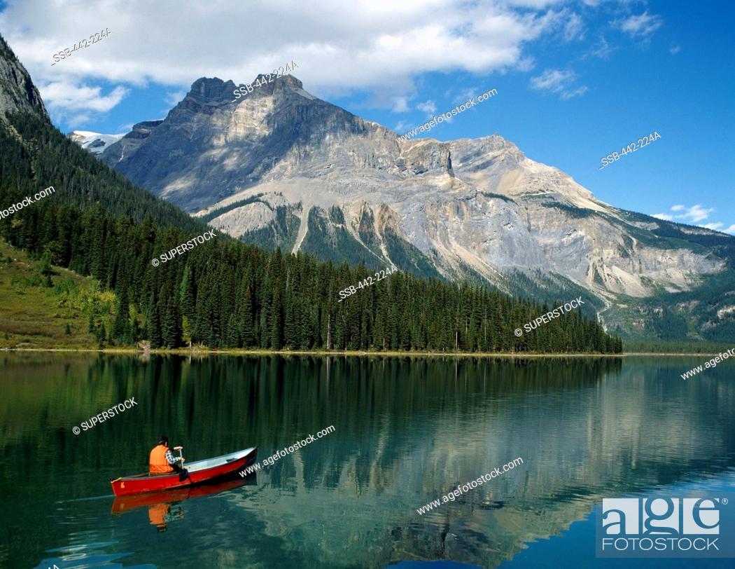 Stock Photo: High angle view of a man canoeing in a lake, Emerald Lake, Yoho National Park, British Columbia, Canada.
