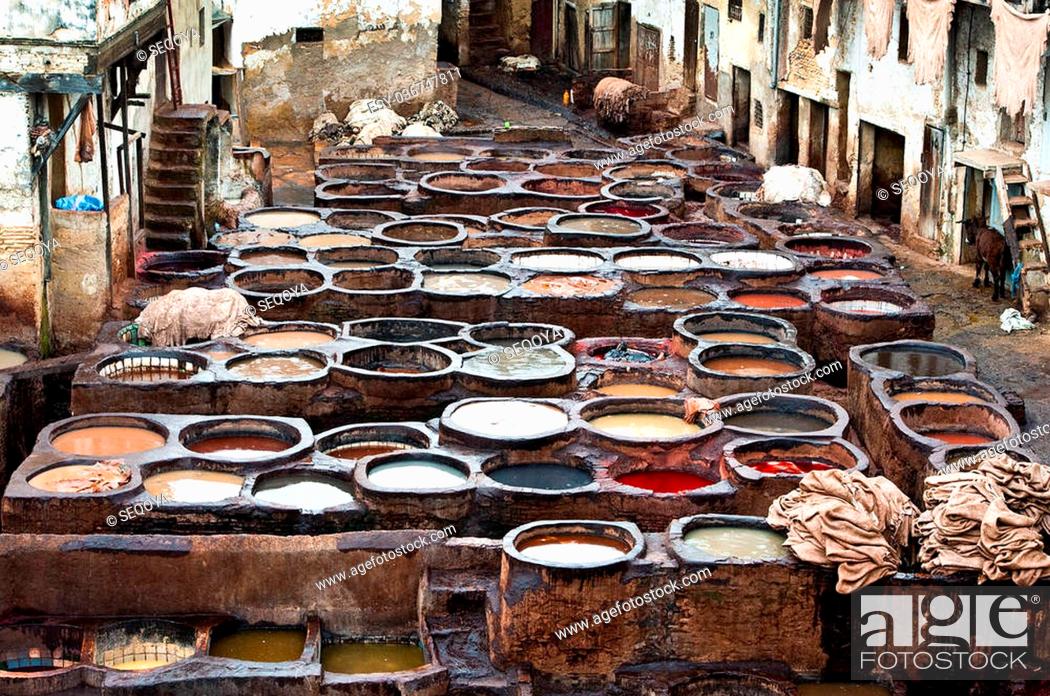 Stock Photo: The Moroccan leather factories, ancient craft in Medina of Fes.