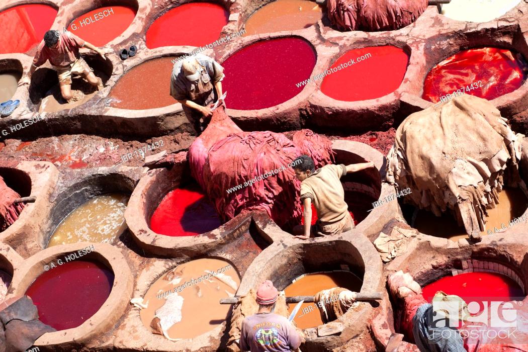 Stock Photo: Dyeing leather, dye district, Medina or historic town centre, UNESCO World Heritage Site, Fes or Fez in Morocco, Africa.