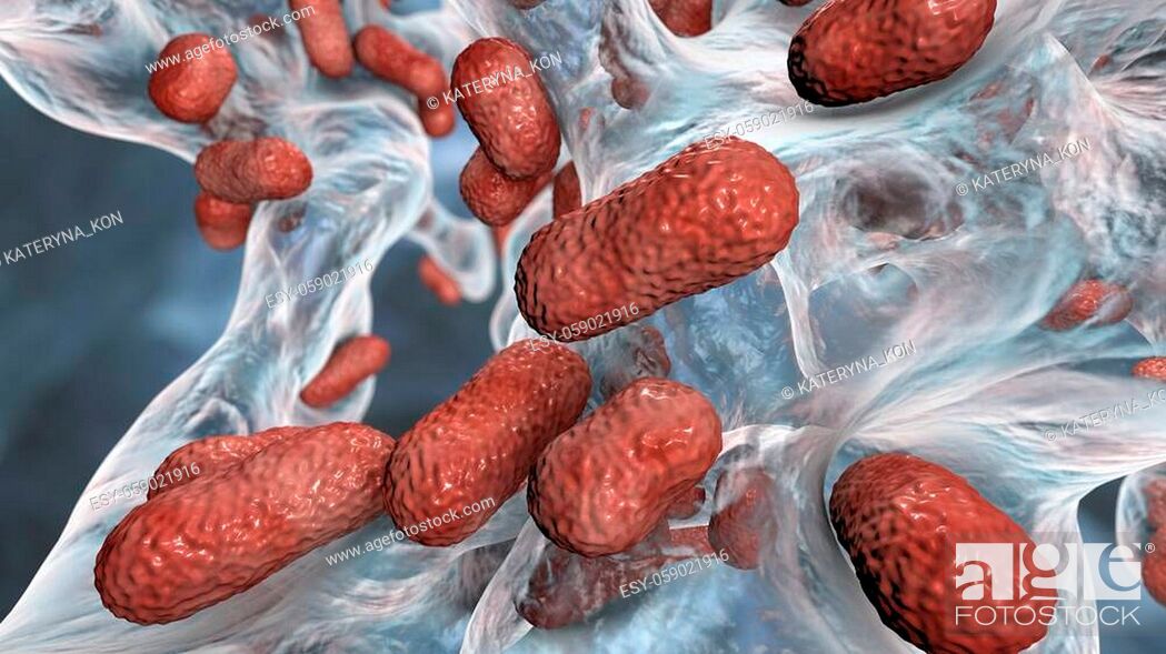 Stock Photo: Multidrug resistant bacteria. Biofilm of bacteria Acinetobacter baumannii, the common causative agent of hospital-acquired infections 3D illustration.