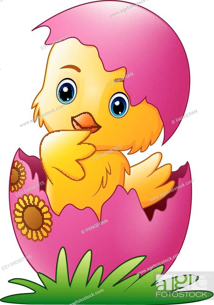 Vector illustration of Cute little cartoon chick hatched from an egg  isolated on a white background, Stock Vector, Vector And Low Budget Royalty  Free Image. Pic. ESY-040987515 | agefotostock