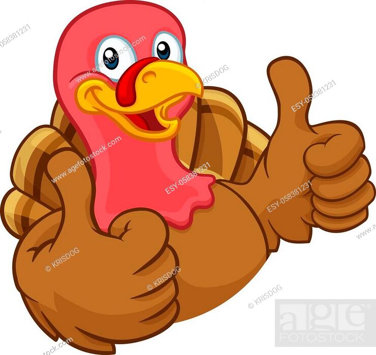 Turkey Thanksgiving or Christmas bird animal cartoon character giving a  thumbs up, Stock Vector, Vector And Low Budget Royalty Free Image. Pic.  ESY-058381231 | agefotostock