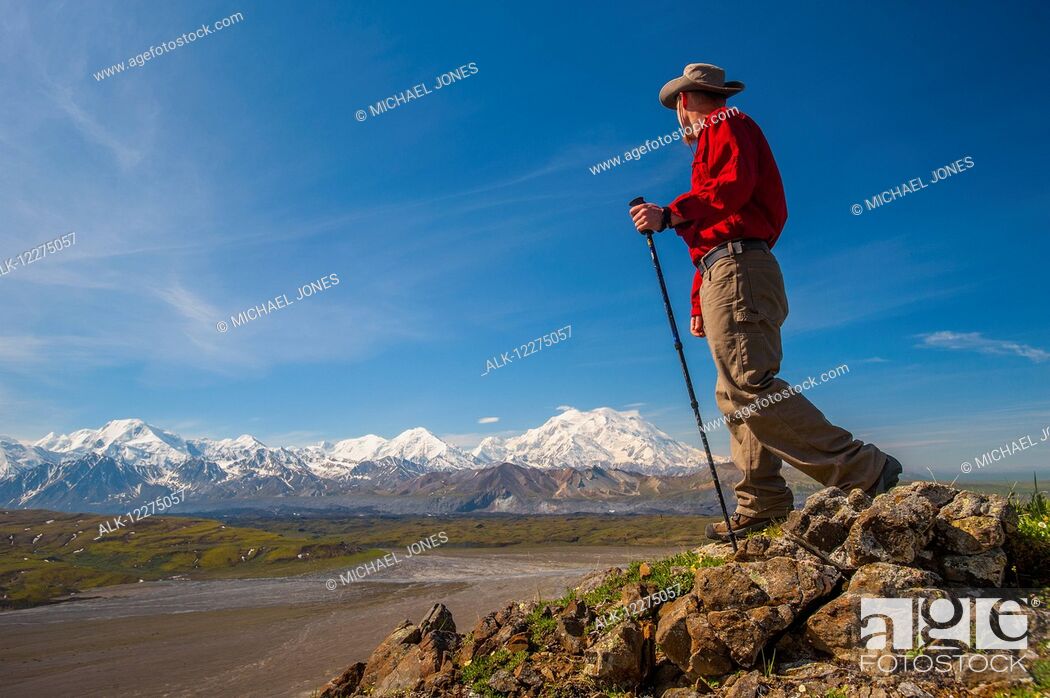 Stock Photo: Hiker on a hillside in front of Mt. McKinley and Muldrow Glacier, Denali National Park, Interior Alaska, summer.