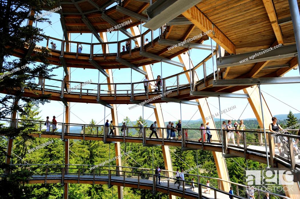 Stock Photo: a lot of visitors on the spiral way of the viewing tower of the tree top walk in National Park Bavarian Forest, Germany, Bavaria, Bavarian Forest National Park.
