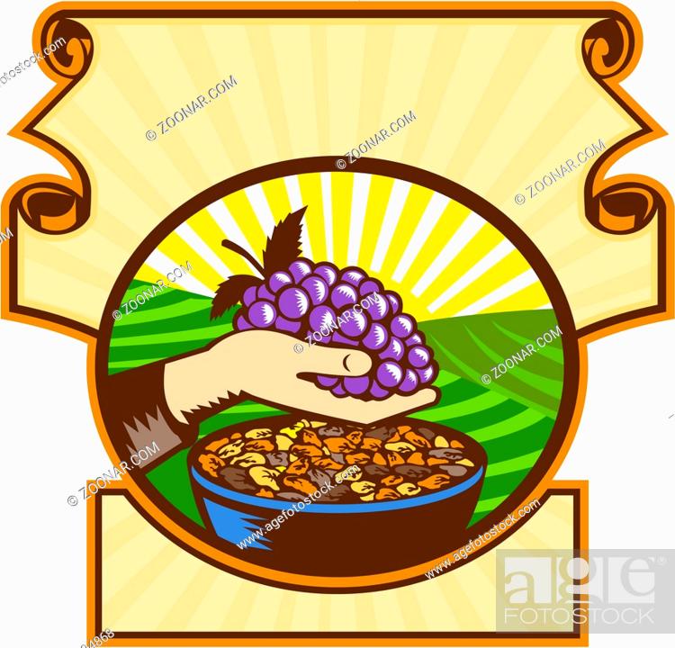 Stock Photo: Illustration of a hand holding grapes with raisins in a bowl set inside an oval shape set inside a crest with sunburst in the background done in retro woodcut.