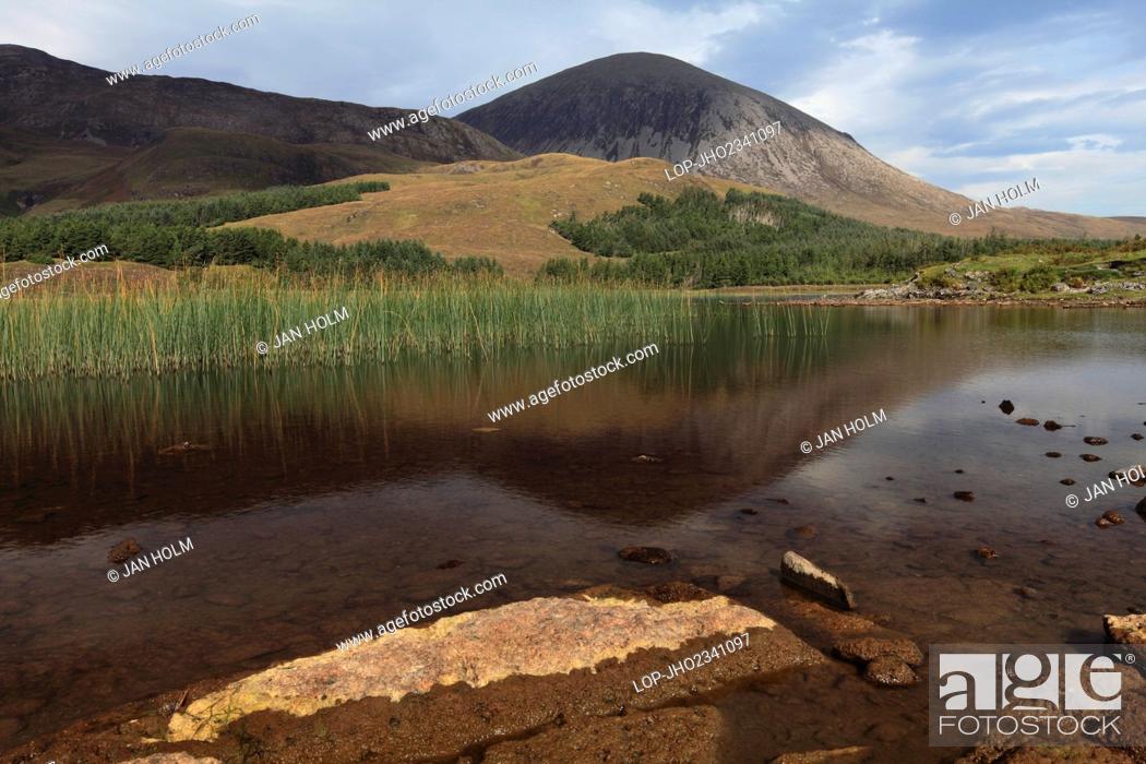 Stock Photo: Scotland, Highland, Cuillins. Reeds in the shallow water of Loch Cill Chriosd with Beinn na Caillich in the distance on the Isle of Skye.