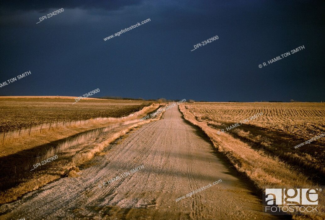 Stock Photo: Agriculture - Gravel country road passing through harvested farm fields in Autumn with dark storm clouds above / Iowa, USA.