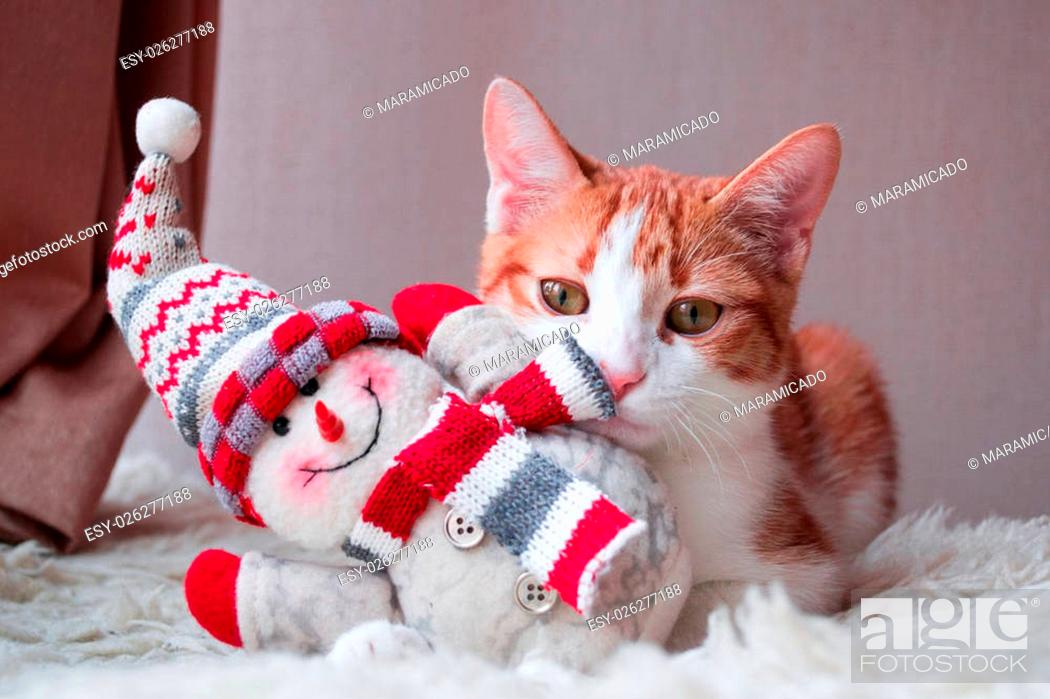 Stock Photo: Red cat siting near snowman.