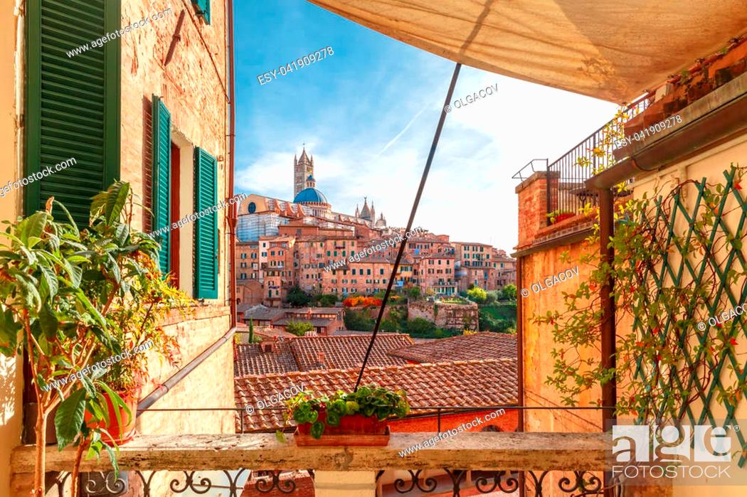 Stock Photo: Beautiful view of Dome and campanile of Siena Cathedral, Duomo di Siena, and Old Town of medieval city of Siena in the sunny day through autumn leaves, Tuscany.