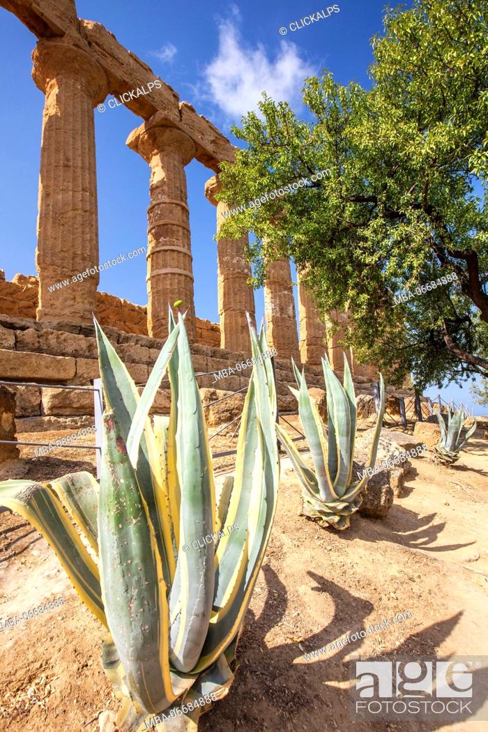 Stock Photo: The Temple of Juno a Greek temple of the ancient city of Akragas located in the Valle dei Templi Agrigento Sicily Italy Europe.