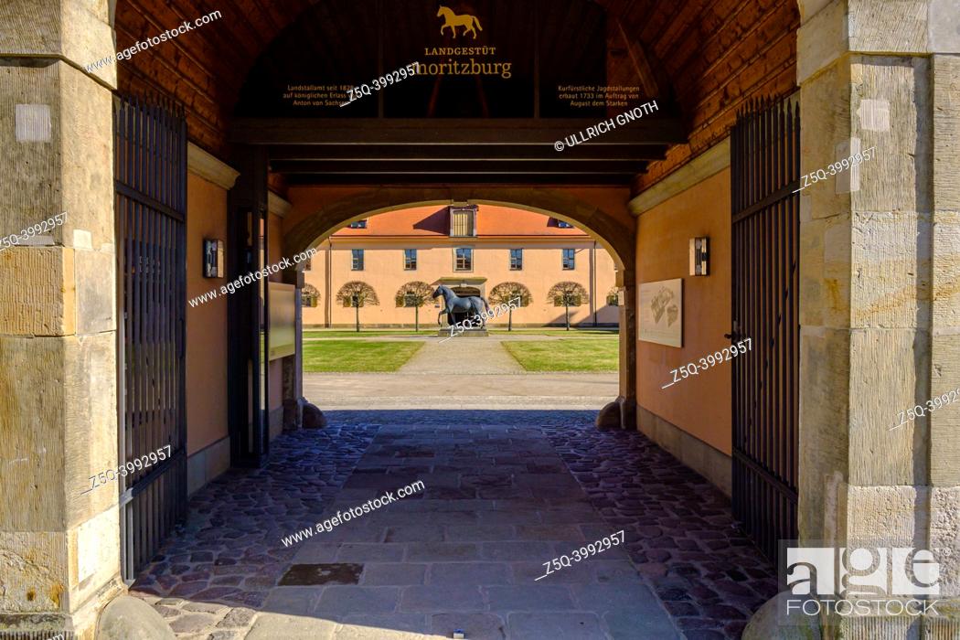 Stock Photo: View inside the inner yard of the Moritzburg State Stud near Dresden, Saxony, Germany, the state stud of the Free States of Saxony and Thuringia, March 1, 2022.