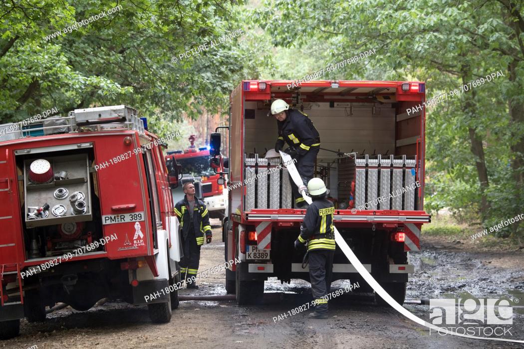 Stock Photo: 27 August 2018, Treuenbrietzen, Germany: Firefighters are laying hoses in a forest near Treuenbrietzen. About 350 firefighters are still on duty to fight forest.
