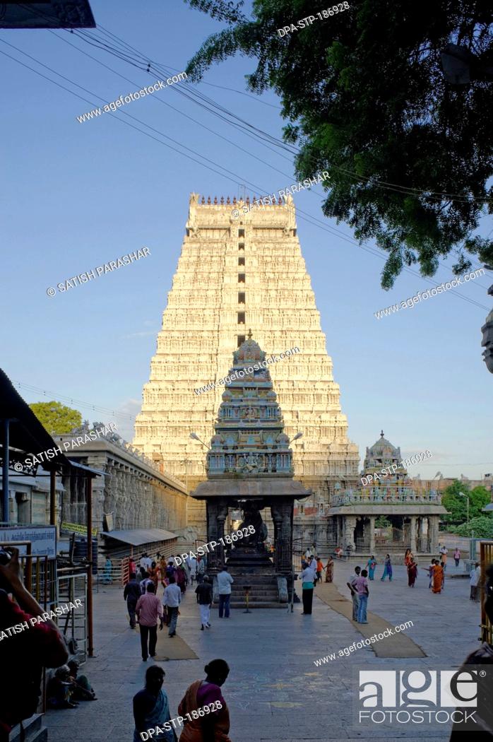 Arunachaleshwara Temple in Tiruvannamalai at Tamilnadu India Asia, Stock  Photo, Picture And Rights Managed Image. Pic. DPA-STP-186928 | agefotostock