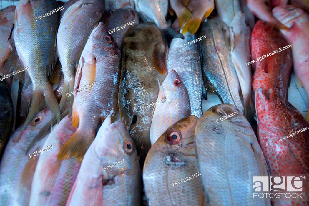 Stock Photo: Various tropical fishes on a local marketplace.