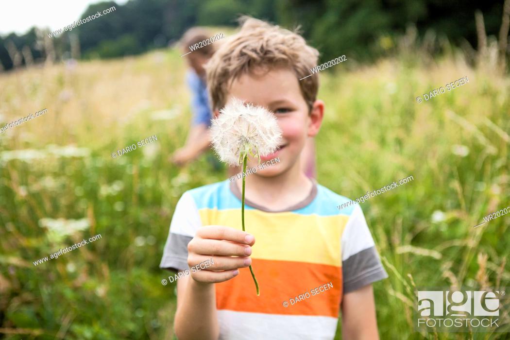 Stock Photo: Boy holding dandelion flower in the meadow.
