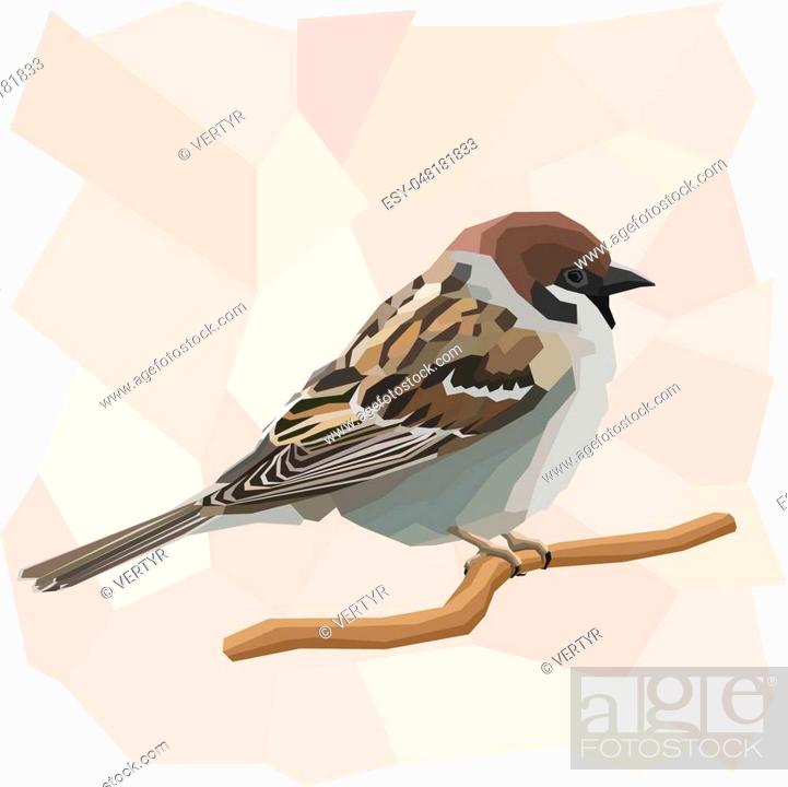 Vector simple illustration of sparrow bird on branch in angular cartoon  style, Stock Vector, Vector And Low Budget Royalty Free Image. Pic.  ESY-048181833 | agefotostock