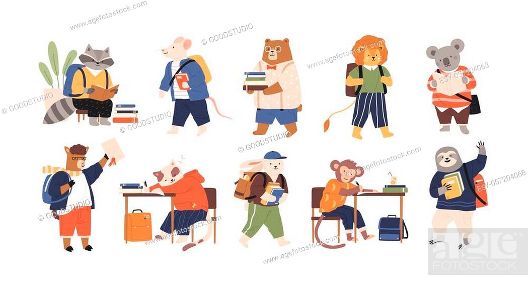 Collection of adorable animals students or pupils studying, writing,  reading books, Stock Vector, Vector And Low Budget Royalty Free Image. Pic.  ESY-057204068 | agefotostock