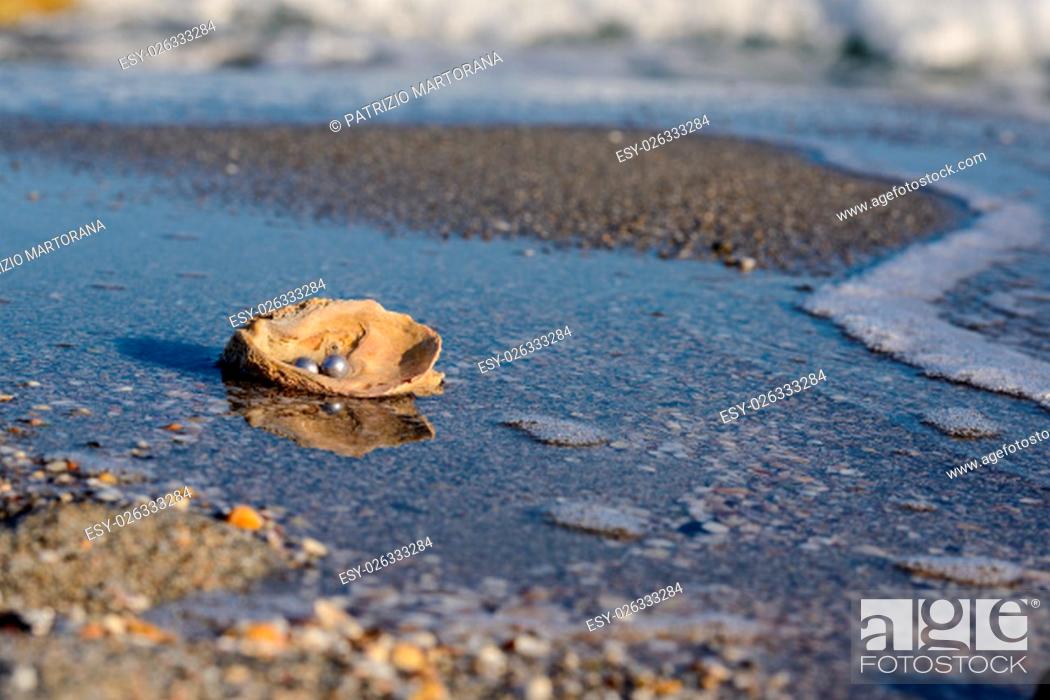 Stock Photo: Australian pearls over an old shell on the beach washed by the waves of the sea.