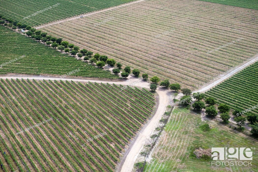 Stock Photo: Aerial view of vineyards near Hermanus and Walker Bay, Overberg, Western Cape, South africa.